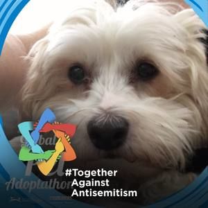 Meet your Posher, Eloise